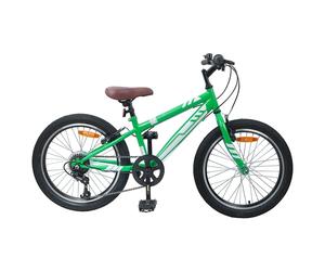 Mountain Bike 24in Green Steel Frame 6-Speed Kids 8-12 Adjustable Seat Kickstand