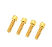 Mountain Bike Alloy Disc Brake Screw Crank Clamp Fixed M6X18/20 With Gasket Screws(Gold,M6x20stigma)