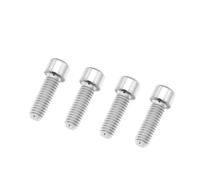 Mountain Bike Alloy Disc Brake Screw Crank Clamp Fixed M6X18/20 With Gasket Screws(Silver,M6x18stigma)