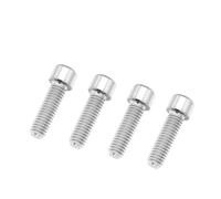 Mountain Bike Alloy Disc Brake Screw Crank Clamp Fixed M6X18/20 With Gasket Screws(Silver,M6x20stigma)