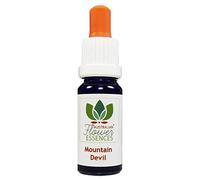 Mountain Devil Australian Flower Essences Love Remedies