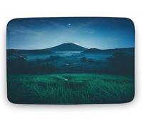 Mountain Door Mat, Non-Slip Machine Washable Microfiber Entrance Rug, Shoes Scraper, Dog Door Mat, Super Absorbent Floor Mat for Muddy Wet Shoes and Paws, Brown_18 x 30 Inches