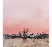 Mountain Dust - Seven Storms