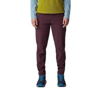 Mountain Hardwear Dynama™ Pants Purple XS Women
