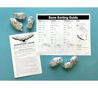 Mountain Home Biological, Inc. Jumbo Owl Pellets, Pack of 5, with Bone Sorting Sheet