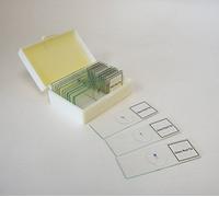 Mountain Home Biological PSG22-15/SET Plant Mitosis Classpack, 15 Slides