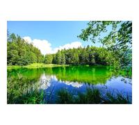 Mountain Lake Backdrop Stunning Evergreen Forests Idyllic Tranquil Lake Photography Background Scenic Woodland Fir Forest Landscape Backdrop for Hiking Travel Adventure Background Props 7x5ft