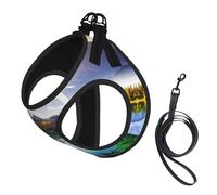 Mountain Lake View Sunny Day Nature Compact Pet Suspender Vest-The Perfect Small Pet For A Comfortable Walk