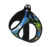 Mountain Lakes Print Pet Leash Vest Soft Adjustable Step in Puppy Vest Outdoor Walking with Leash