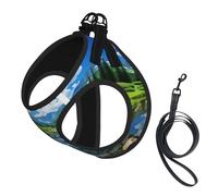 Mountain Lakes Print Pet Leash Vest Soft Adjustable Step in Puppy Vest Outdoor Walking with Leash