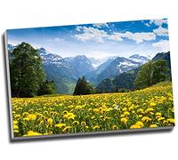 Mountain Landscape Flower Field Floral Canvas Print Wall Art Picture Canvas Prints Large A1 30 X 20 Inches (76.2Cm X 50.8Cm)