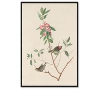 Mountain Laurel Canvas Print Botanical Art by Art Remedy, Black Frame, 16 x 24