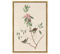 Mountain Laurel Canvas Print Botanical Art by Art Remedy, Gold Frame, 20 x 30