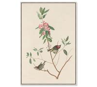 Mountain Laurel Canvas Print Botanical Art by Art Remedy, Silver Frame, 16 x 24