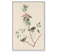 Mountain Laurel Canvas Print Botanical Art by Art Remedy, White Frame, 16 x 24
