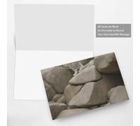 Mountain Leopard Cats Horizontal Full Single-Sided Printing Pearlescent Paper Birthday Halloween Christmas Halloween Birthday Party Holiday Greeting Card