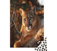 Mountain Lion Playing on A Sunny Branch Jigsaw Puzzles Challenge Toy Educational Games Home Decoration for Adults& Teenager Age 14 Years Up 70x50cm/1000pcs