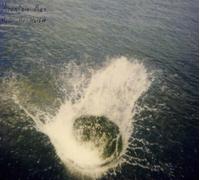 Mountain Man - Made The Harbor