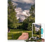 Mountain Path Through Trees 1000 Piece Jigsaw Puzzles for Adults Teenagers Logic Toy Relax Time Precision Cut (38x26cm)