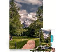 Mountain Path Through Trees Jigsaw Puzzles for Teenagers 1000 Piece Mental Toy Leisure Fun Premium Cut Thoughtful Gift (38x52cm)