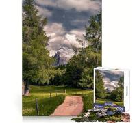 Mountain Path Through Trees Jigsaw Puzzles for Teenagers 1000 Piece Mental Toy Leisure Fun Premium Cut Thoughtful Gift (38x52cm)