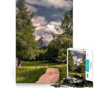Mountain Path Through Trees Teenagers Puzzles 1000 Piece Jigsaws Brain Workout Toy Soothing Fun Art Assembly Art Collectible (50x75cm)