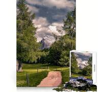 Mountain Path Through Trees Teenagers Puzzles 1000 Piece Jigsaws Brain Workout Toy Soothing Fun Art Assembly Art Collectible (50x75cm)