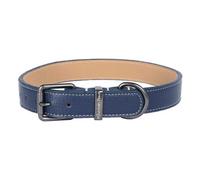 Mountain Paws Blue Leather Dog Collar