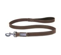 Mountain Paws Brown Leather Dog Lead