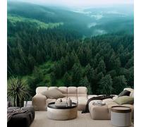 Mountain Stream Natural Forest Mural Wallpaper, Green Wallpaper for Bedroom Living Room TV Backdrop Office Hotel Corridor Wall Background Decoration Non-Woven Wall Paper 200 X 140 cm (WxH)