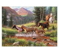 Mountain Thunder
