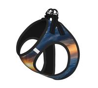 Mountain Valley with Rainbow Print Pet Leash Vest Soft Adjustable Step in Puppy Vest Outdoor Walking with Leash