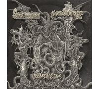 Mountainbike Cube Access WLS GTC 2010 Fading Blue 16 inch