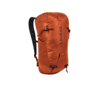 Mountaineering backpack Blue Ice Dragonfly 26L (Clay)