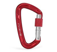 mountaineering buckle， Outdoor 24KN Twist Locking Gate Carabiner Auto Lock D-ring Buckle Climbing Rappelling Canyoning Hammock Clip(Snow)