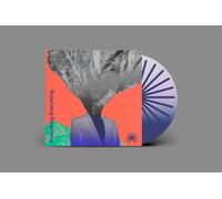 Mountainhead by Everything Everything (CD 2024)