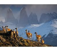 Mountains