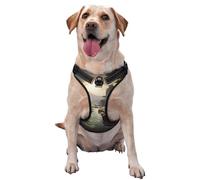 Mountains and Rivers Medium Printed pet Traction Vest for Pets to wear When Walking The Dog or Climbing Mountains