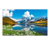 Mountains Lake Aquarium Background Bernese range View Fish Tank Background Switzerland Alps Grindelwald Valley Lake Terrarium Background Fantastic Natural Landscape Aquarium Fish Tank Decors 24x16in