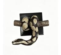 Mounteps Golden Ball Python Wall Sculpture, 3D Gothic Resin Snake Figurine with Branch, Strength & Prosperity Symbol Wall Art, Artistic Hanging Ornament for Entryway Bar Home Interior Wall Decoration