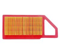 Mountfield Air Filter 7250 Series 118550321/0