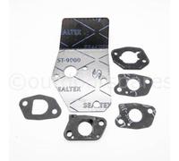 Mountfield RM45 RM55 ST55 Lawnmower Carburettor Gasket Set Part No. 118550743/0