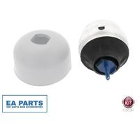 CORTECO 80000244 Mounting, automatic transmission