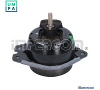 MOUNTING ENGINE 36556 FOR RENAULT LAGUNA/II/Grandtour/Sport/Tourer ESPACE/IV
