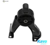 KAVO PARTS EEM-5556 Engine mount