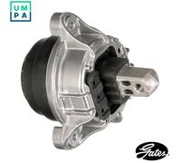 GATES Engine mount ETM1651 Front, Right silver BMW: 5 Saloon, 5 Touring, 5 GT