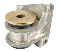 DT Spare Parts Radiator Mounting 3.16308