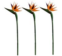 MOUNTTU 3Pcs Fake Bird of Paradise Plant, Simulation Bird of Paradise Artificial Flowers, Soft Plastic PVC Realistic Heaven Flowers Faux Plants for Home Office Wedding Table Decor