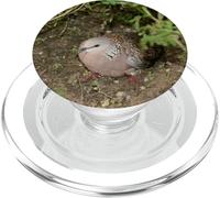 Mourning Dove PopSockets PopGrip for MagSafe