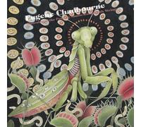 Mourning Of The Praying Mantis/Worms With Strings [VINYL]